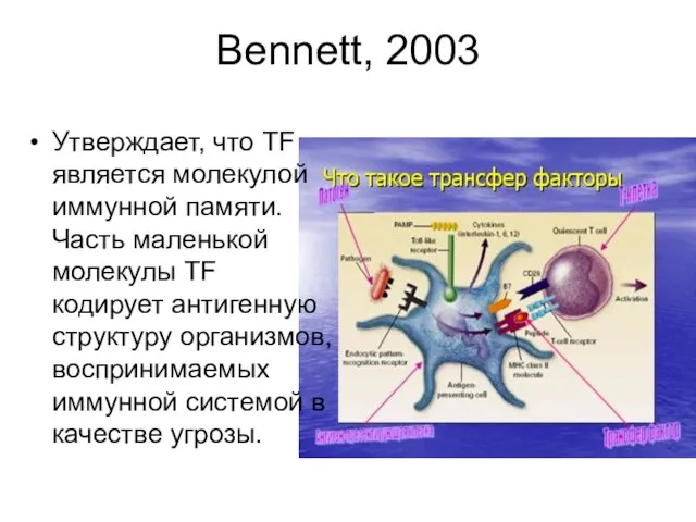 Bennett, 2003 Утверждает, что TF является молекулой иммунной памяти. Часть маленькой молекулы