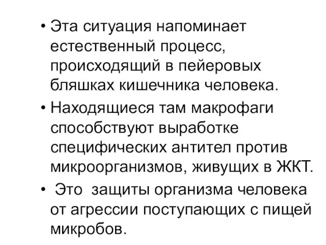 Эта ситуация напоминает естественный процесс, происходящий в пейеровых бляшках кишечника человека. Находящиеся