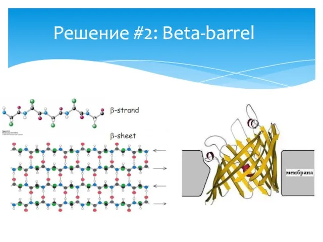 Решение #2: Beta-barrel