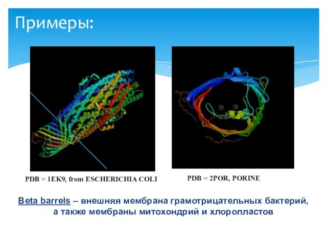 Примеры: PDB = 1EK9, from ESCHERICHIA COLI PDB = 2POR, PORINE Beta