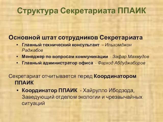 Структура Секретариата ППАИК Основной штат сотрудников Секретариата Главный технический консультант – Ильхомджон