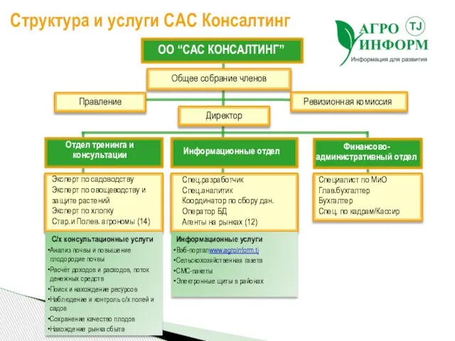 Структура и услуги САС Консалтинг