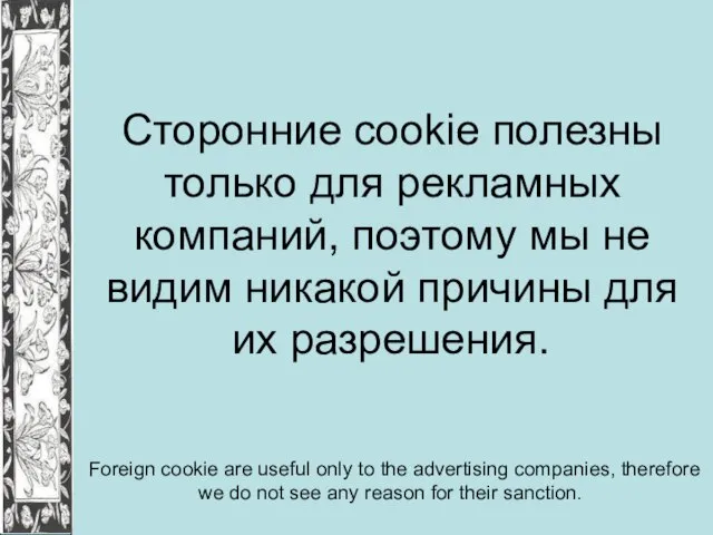 Сторонние cookie полезны только для рекламных компаний, поэтому мы не видим никакой