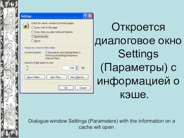 Откроется диалоговое окно Settings (Параметры) с информацией о кэше. Dialogue window Settings