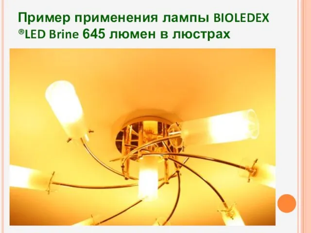 Пример применения лампы BIOLEDEX ®LED Brine 645 люмен в люстрах