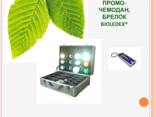 ПРОМО-ЧЕМОДАН, БРЕЛОК BIOLEDEX®