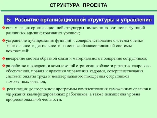 СТРУКТУРА ПРОЕКТА Б: Развитие организационной структуры и управления оптимизация организационной структуры таможенных