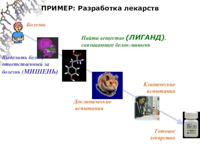 ПРИМЕР: Разработка лекарств Болезнь Выделить белок, ответственный за болезнь (МИШЕНЬ) Найти вещество