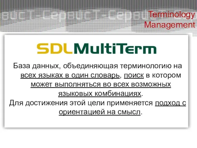 База данных, объединяющая терминологию на всех языках в один словарь, поиск в