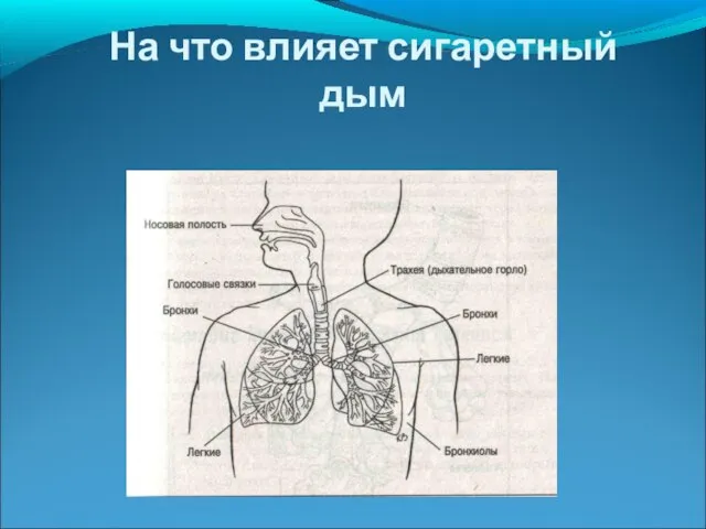 На что влияет сигаретный дым