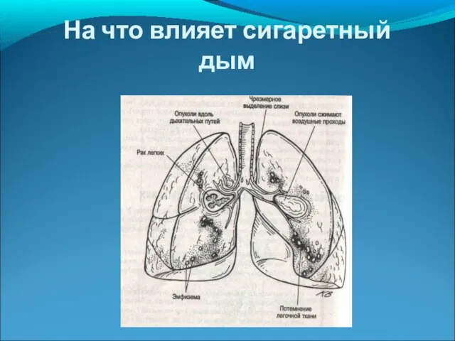 На что влияет сигаретный дым