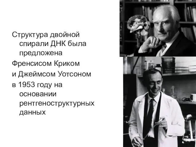 Структура двойной спирали ДНК была предложена Френсисом Криком и Джеймсом Уотсоном в