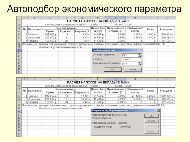 Автоподбор экономического параметра