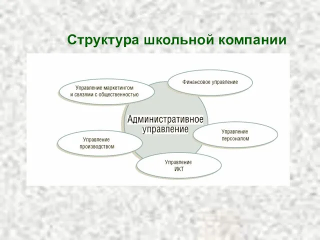 Структура школьной компании