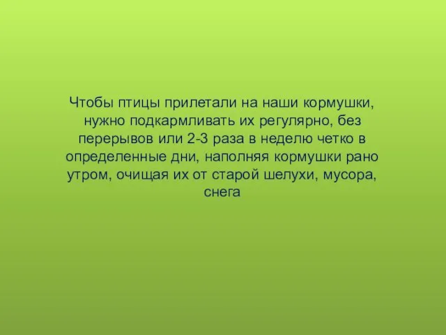 Чтобы птицы прилетали на наши кормушки, нужно подкармливать их регулярно, без перерывов