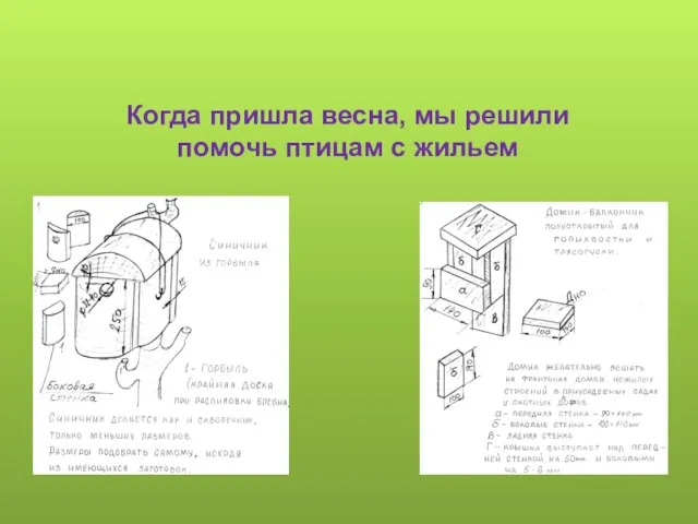 Когда пришла весна, мы решили помочь птицам с жильем