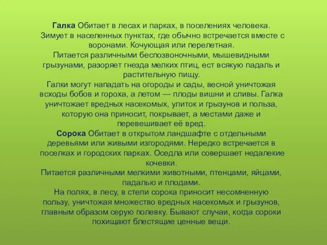 Галка Обитает в лесах и парках, в поселениях человека. Зимует в населенных