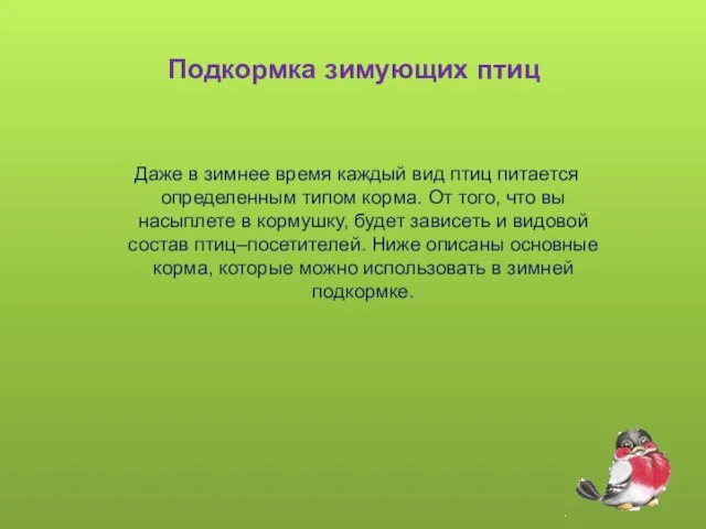 Подкормка зимующих птиц Даже в зимнее время каждый вид птиц питается определенным