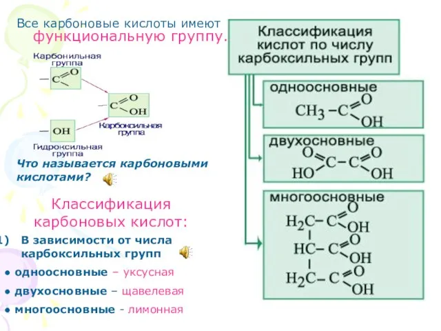 Все карбоновые кислоты имеют функциональную группу. Что называется карбоновыми кислотами? Классификация карбоновых