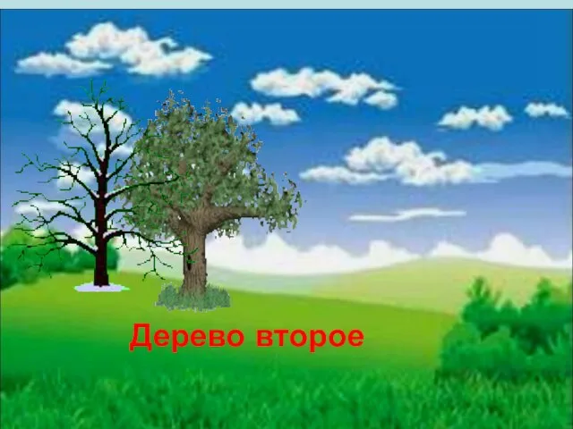 Дерево второе