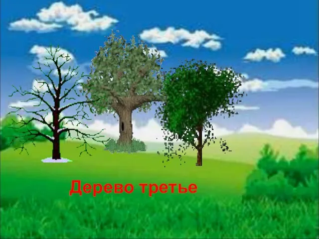 Дерево третье