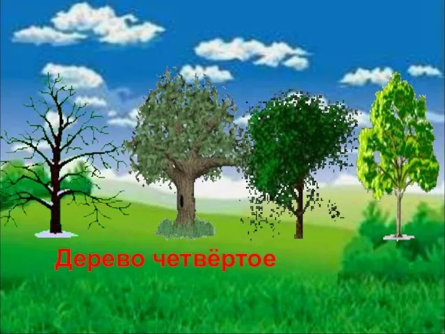 Дерево четвёртое