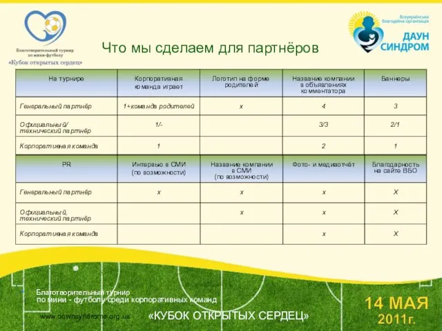 Что мы сделаем для партнёров Благотворительный турнир по мини - футболу среди