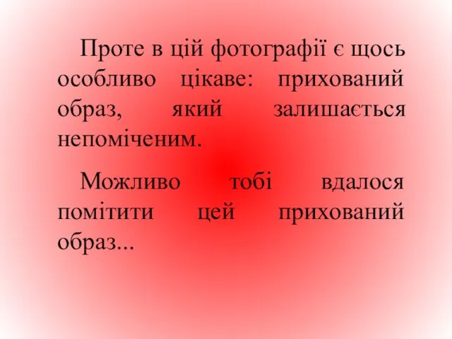 Проте в цій фотографії є щось особливо цікаве: прихований образ, який залишається