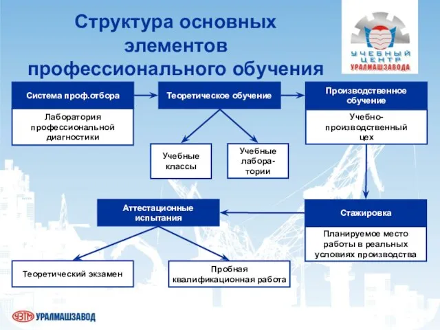 Структура основных элементов профессионального обучения Система проф.отбора Лаборатория профессиональной диагностики Теоретическое обучение