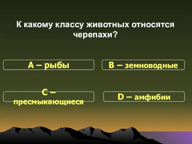 К какому классу животных относятся черепахи? С – пресмыкающиеся В – земноводные