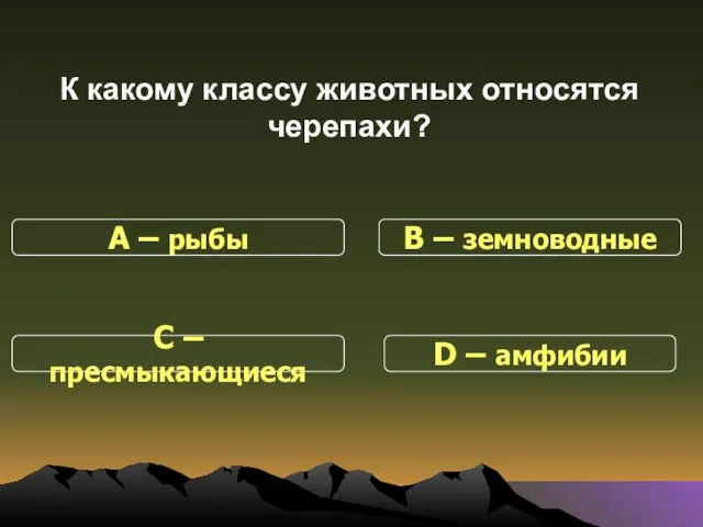 К какому классу животных относятся черепахи? С – пресмыкающиеся В – земноводные