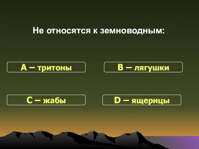 Не относятся к земноводным: С – жабы В – лягушки D – ящерицы А – тритоны