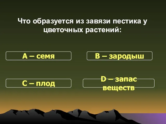 Что образуется из завязи пестика у цветочных растений: С – плод В