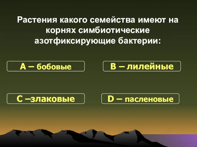 Растения какого семейства имеют на корнях симбиотические азотфиксирующие бактерии: С –злаковые В