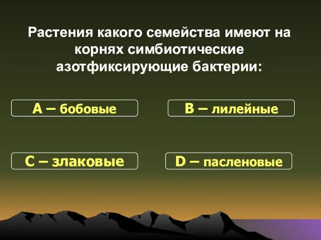 Растения какого семейства имеют на корнях симбиотические азотфиксирующие бактерии: С – злаковые