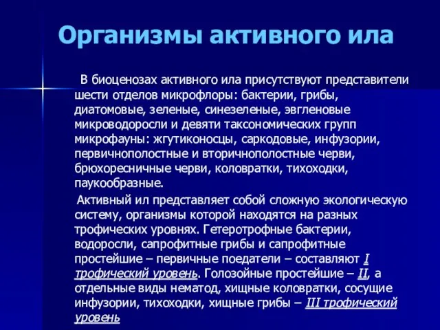 Организмы активного ила В биоценозах активного ила присутствуют представители шести отделов микрофлоры: