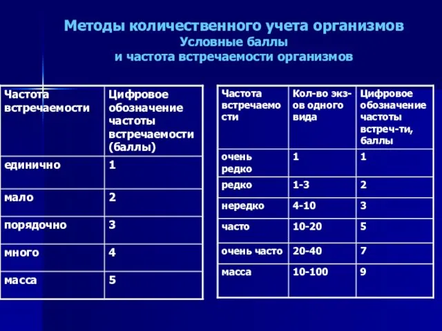 Методы количественного учета организмов Условные баллы и частота встречаемости организмов