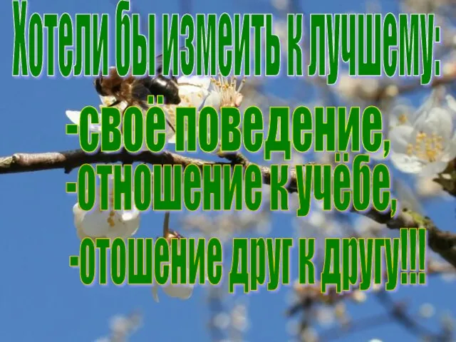 Хотели бы измеить к лучшему: -своё поведение, -отношение к учёбе, -отошение друг к другу!!!