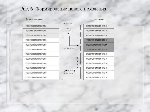 Рис. 6 Формирование нового поколения