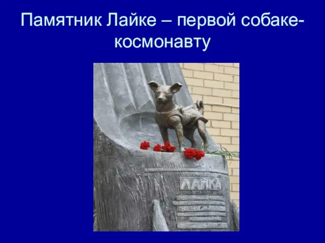 Памятник Лайке – первой собаке-космонавту