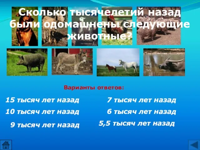 Сколько тысячелетий назад были одомашнены следующие животные? 15 тысяч лет назад 10