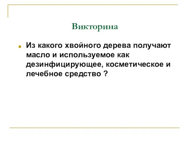 Викторина Из какого хвойного дерева получают масло и используемое как дезинфицирующее, косметическое и лечебное средство ?