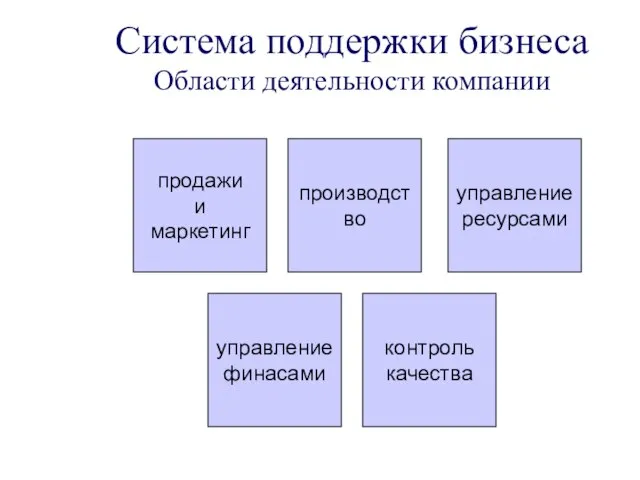 Система поддержки бизнеса Области деятельности компании производство управление ресурсами управление финасами продажи и маркетинг контроль качества