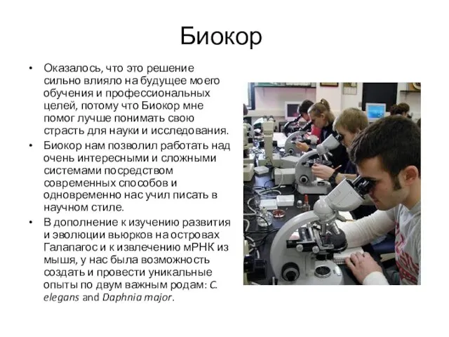 Биокор Оказалось, что это решение сильно влияло на будущее моего обучения и