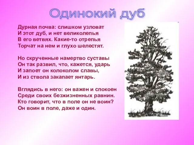 Дурная почва: слишком узловат И этот дуб, и нет великолепья В его