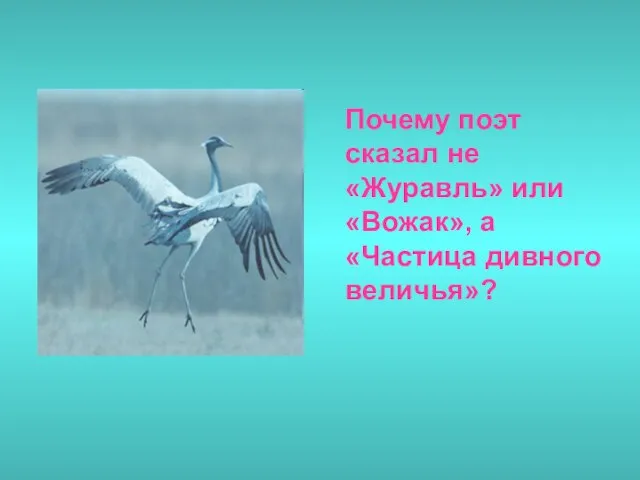 Почему поэт сказал не «Журавль» или «Вожак», а «Частица дивного величья»?