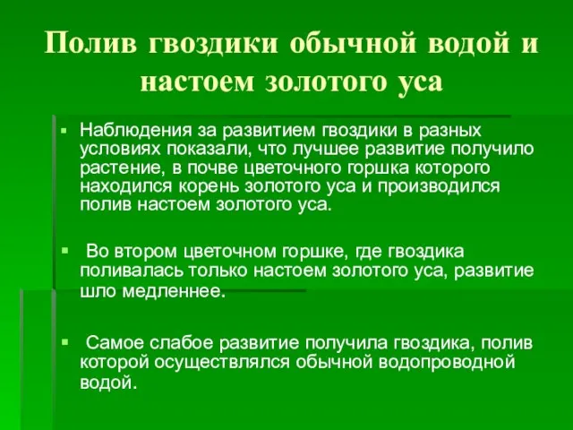 Полив гвоздики обычной водой и настоем золотого уса Наблюдения за развитием гвоздики