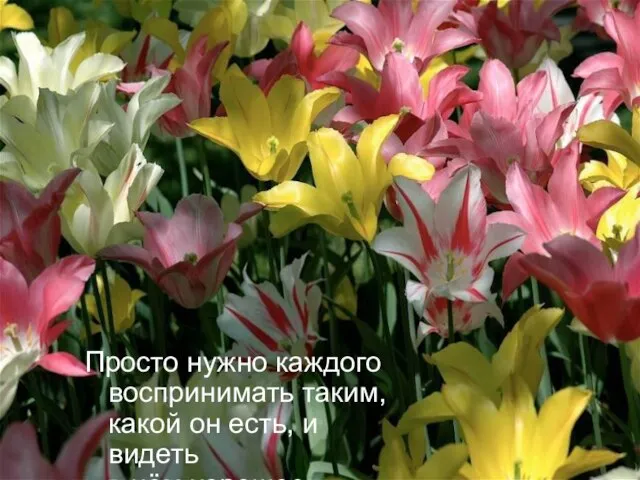 Просто нужно каждого воспринимать таким, какой он есть, и видеть в нём хорошее.