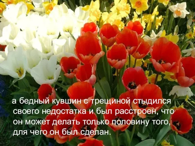 а бедный кувшин с трещиной стыдился своего недостатка и был расстроен, что