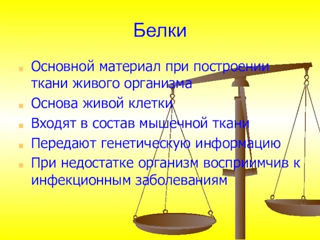 Белки Основной материал при построении ткани живого организма Основа живой клетки Входят